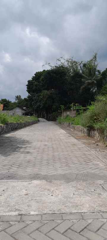 dijual tanah triharjo