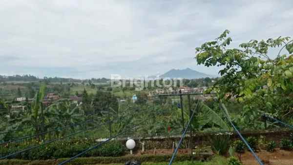 dijual tanah tugu selatan puncak kab bogor
