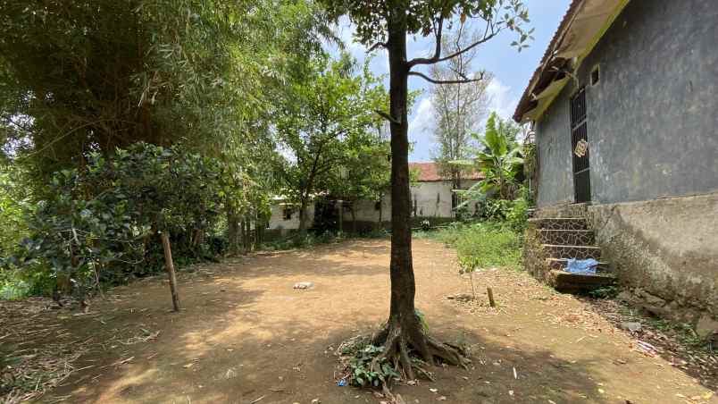 dijual villa bojong