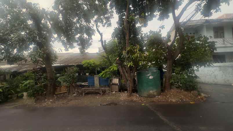 dijuao tanah jl beringin raya bulak teko kalideres