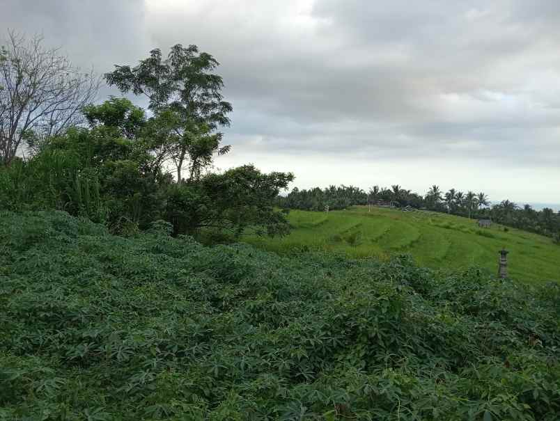 disewakan tanah angkah