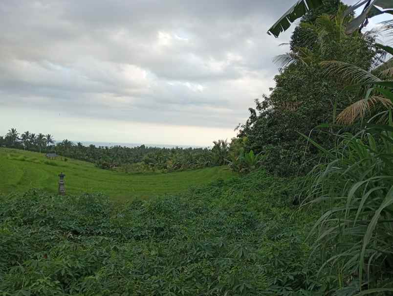 disewakan tanah angkah