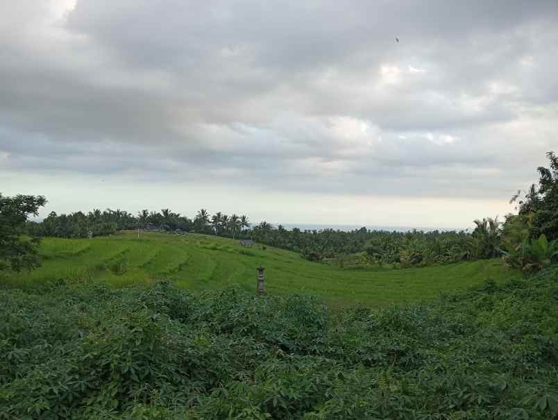 disewakan tanah angkah