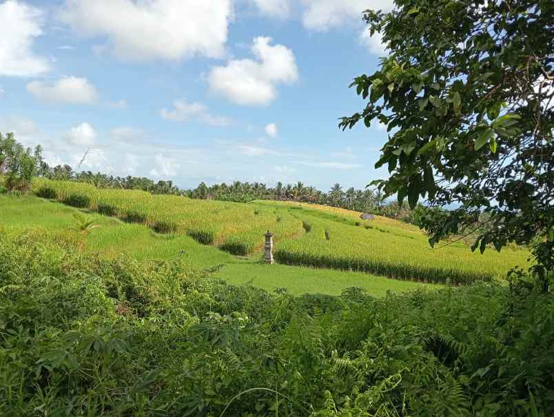 disewakan tanah angkah