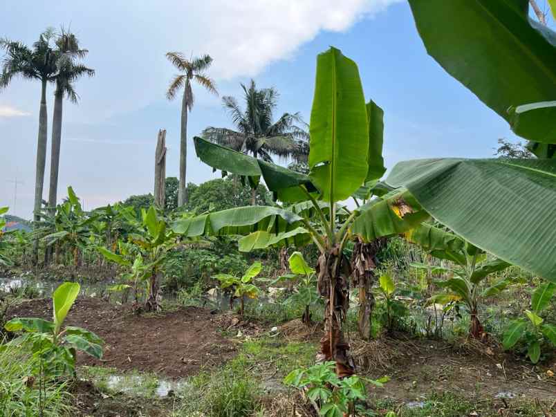 disewakan tanah di japos paninggilan tangerang