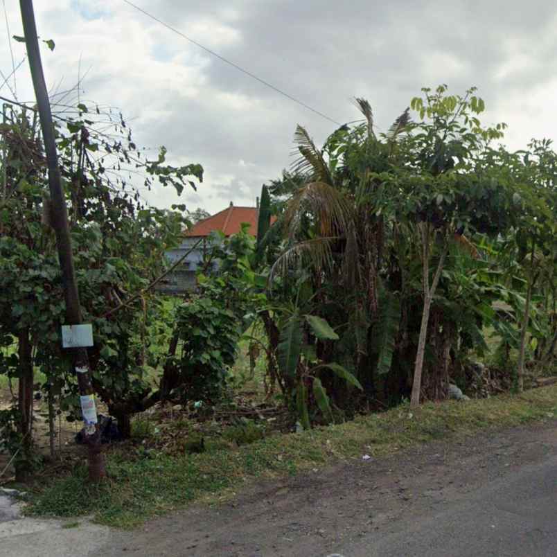 disewakan tanah kesiman petilan