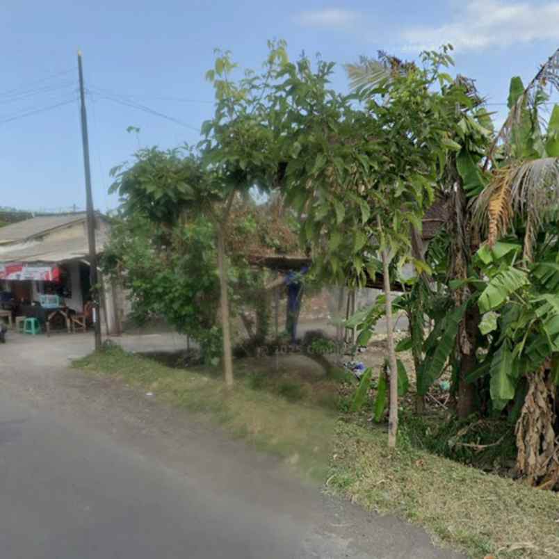 disewakan tanah kesiman petilan