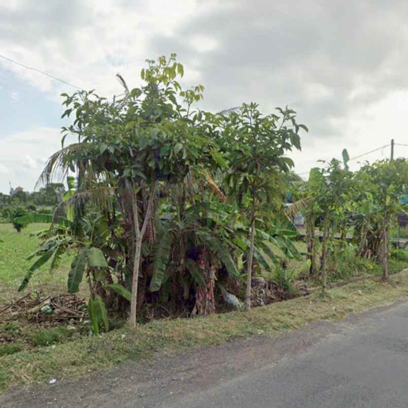 disewakan tanah kesiman petilan