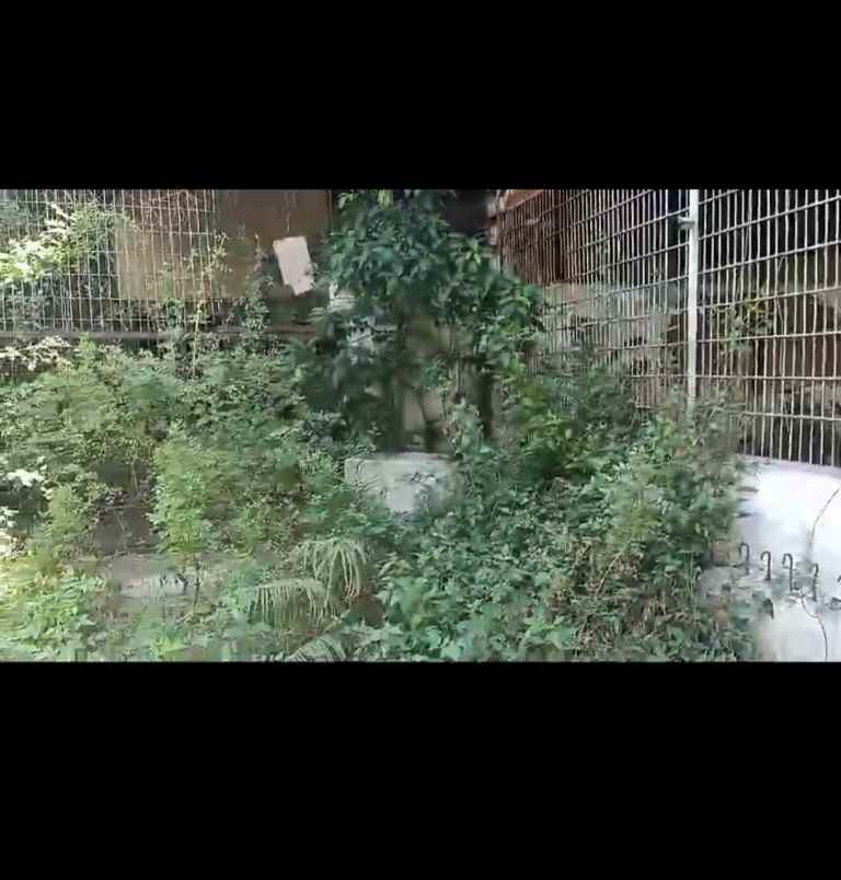 gudang strategis majapahit semarang