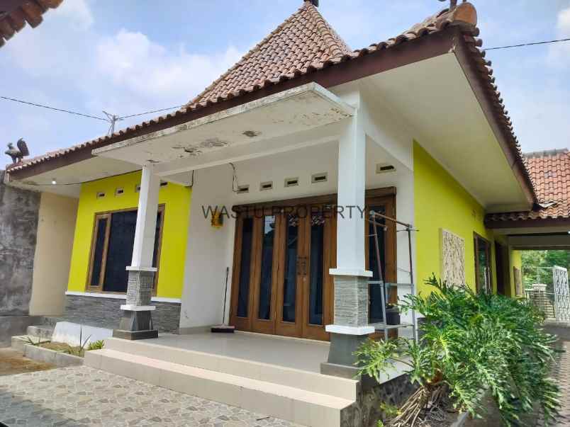 home stay murah di maguwoharjo tanah paling luas shm