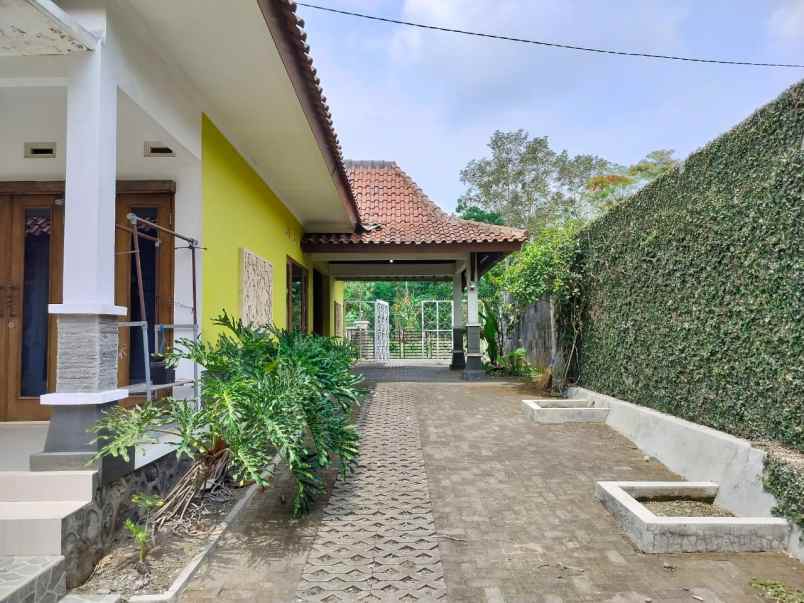 home stay murah di maguwoharjo tanah paling luas shm