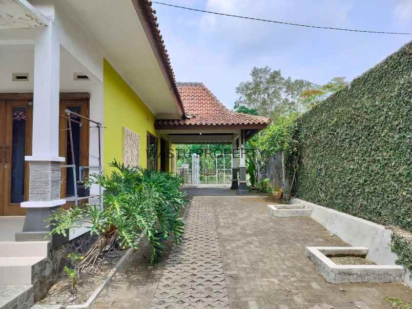 home stay murah di maguwoharjo tanah paling luas shm