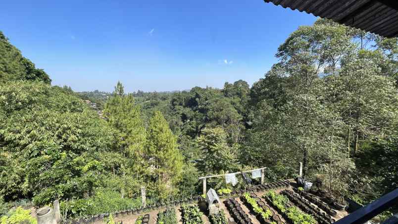 jual cepat bu tanah luas view lembah lembang