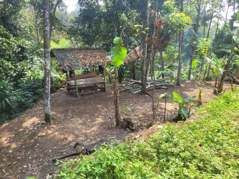 jual njop 200 000 m tanah kebun duren 3567 m 700 jt