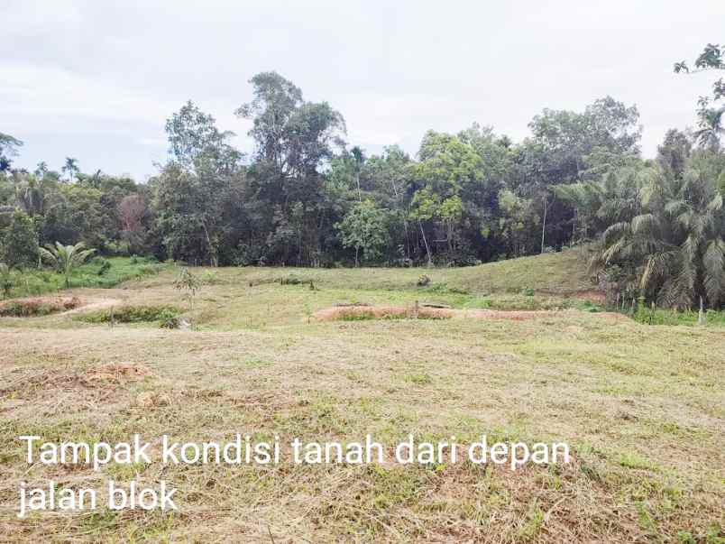 jual tanah 3 087 m2 di karang joang kota balikpapan