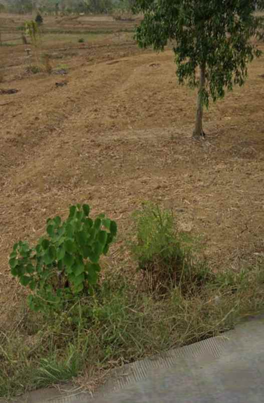 jual tanah area industri mojokerto