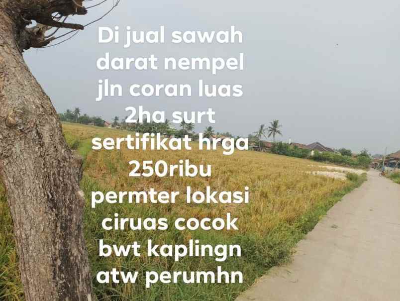 jual tanah sawah produktif murah