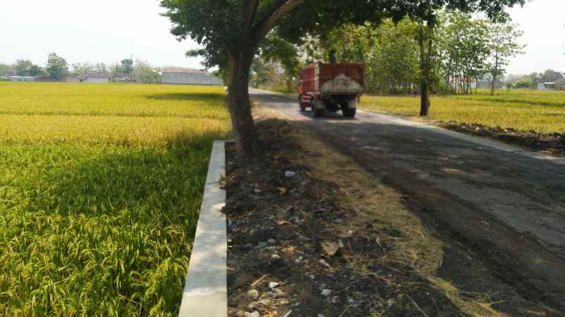 jual tanah sawah zona kuning kab sragen