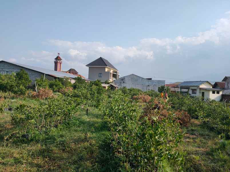 kebun jeruk luas tanah subur lokasi di pusat kota batu