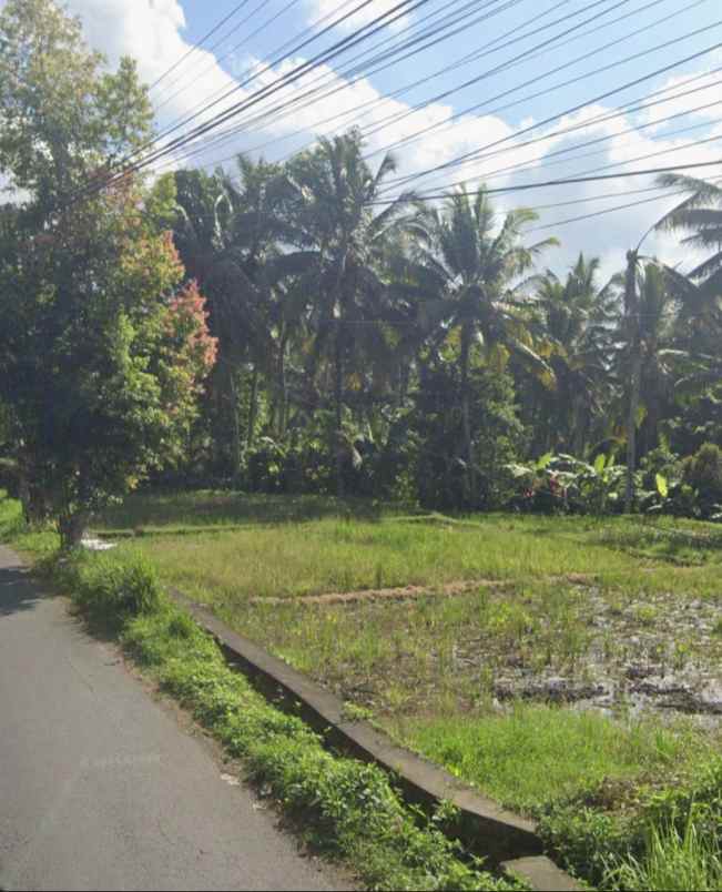 land for leasehold in main road tirta tawar ubud bali