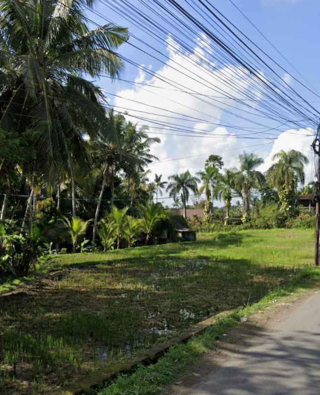 land for leasehold in main road tirta tawar ubud bali