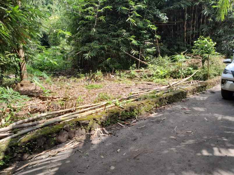 nego tanah dijual murah dekat sma 1 tempel jogja