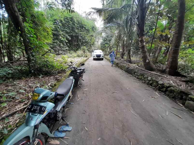 nego tanah dijual murah dekat sma 1 tempel jogja