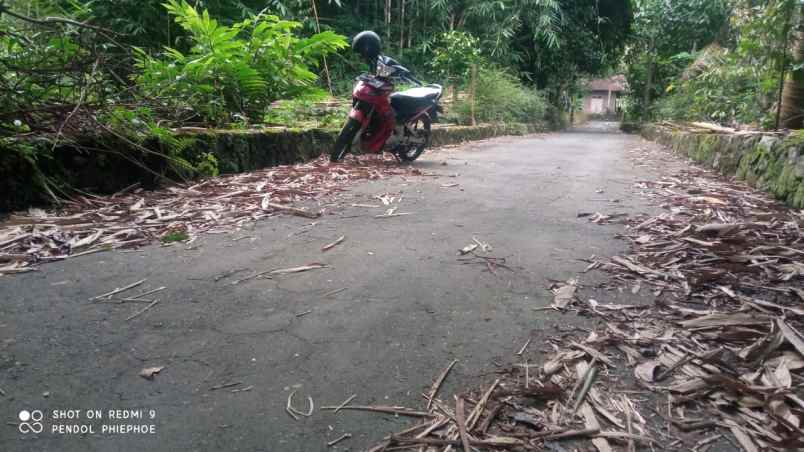 nego tanah dijual murah dekat sma 1 tempel jogja