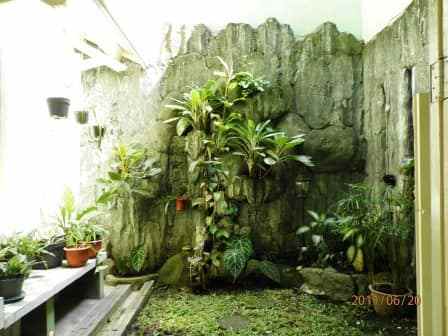 rumah asri di pasirlayung padasuka cicaheum bandung