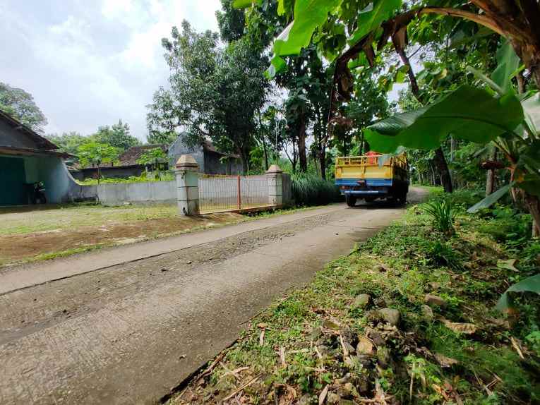 rumah dekat smkn kedawung sragen