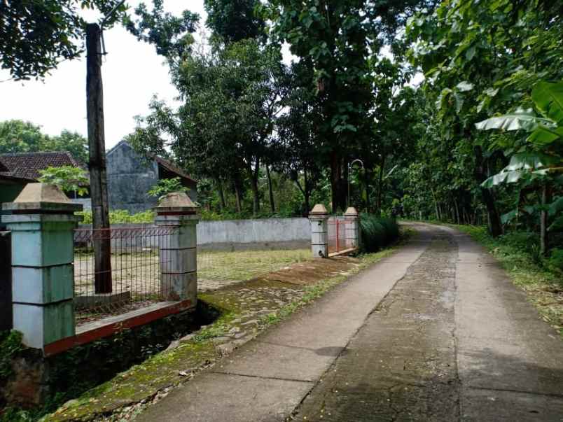 rumah dekat smkn kedawung sragen