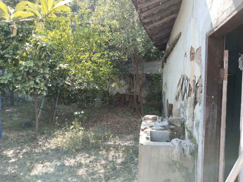 rumah dijual area situbondo