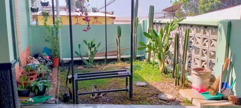 rumah minimalis di sindanglaya bandung