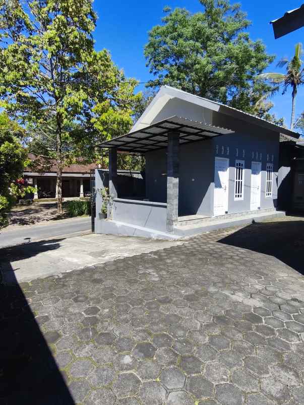 rumah produksi pengolahan susu sapi