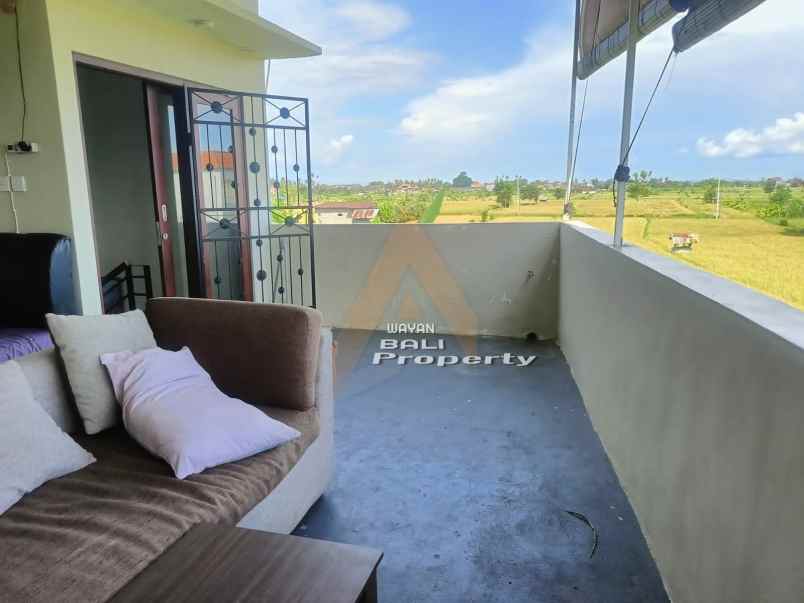 rumah view sawah di celuk sukawati