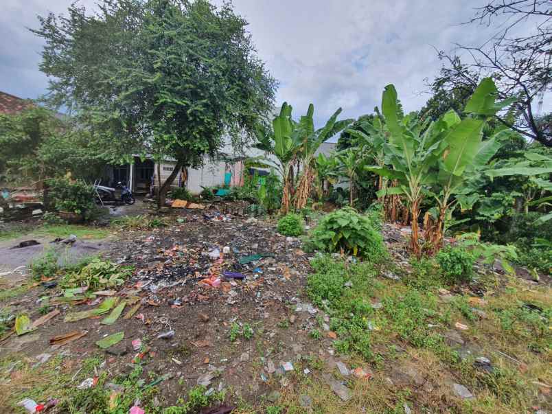 tanah 200m2 murah rp 3 6jt m2 pdk benda pamulang