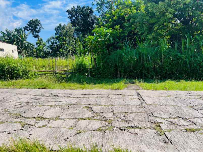 tanah 250jt siap buka usaha karanganyar