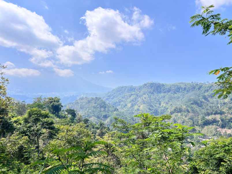 tanah 3300m view istimewa gunung lawu