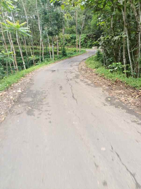 tanah bonus rumah karangpandan karanganyar