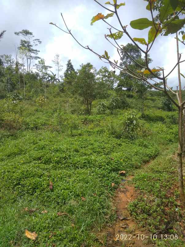 tanah ciawi bojonggambir