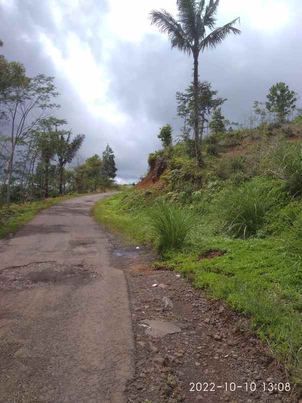 tanah ciawi bojonggambir