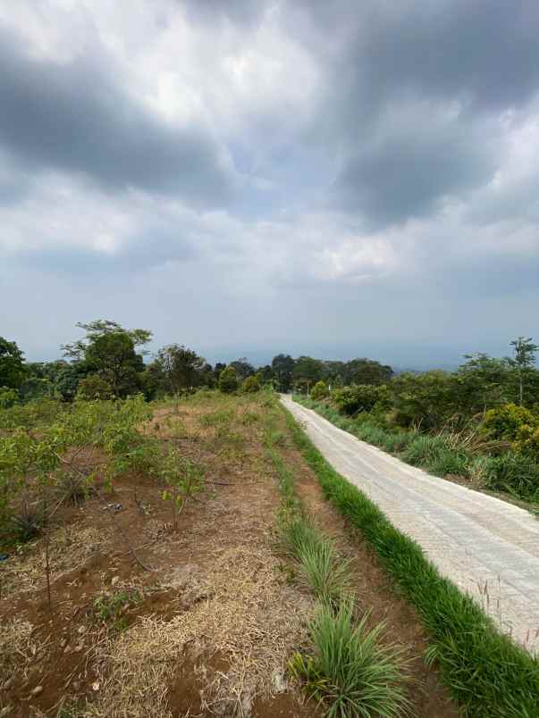 tanah cijeruk dekat kopi nego