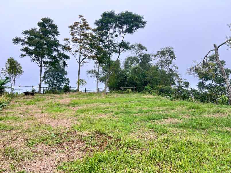 tanah datar view kebun teh kemuning karanganyar