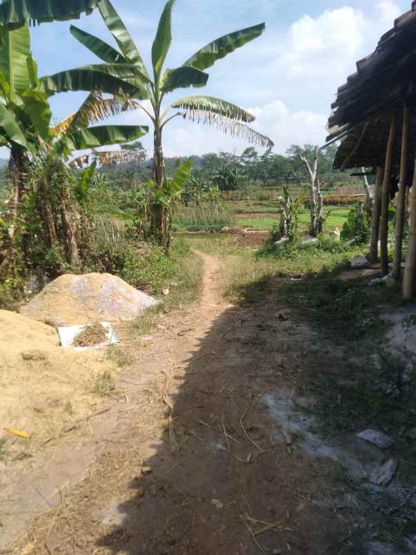 tanah dekat jl bandungan ambarawa 3000m