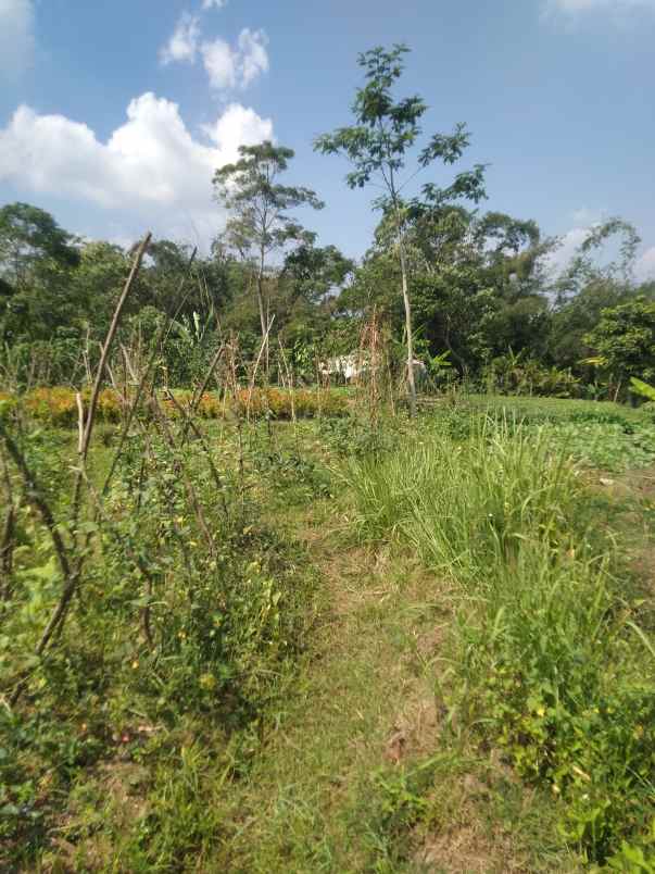 tanah dekat jl bandungan ambarawa 3000m