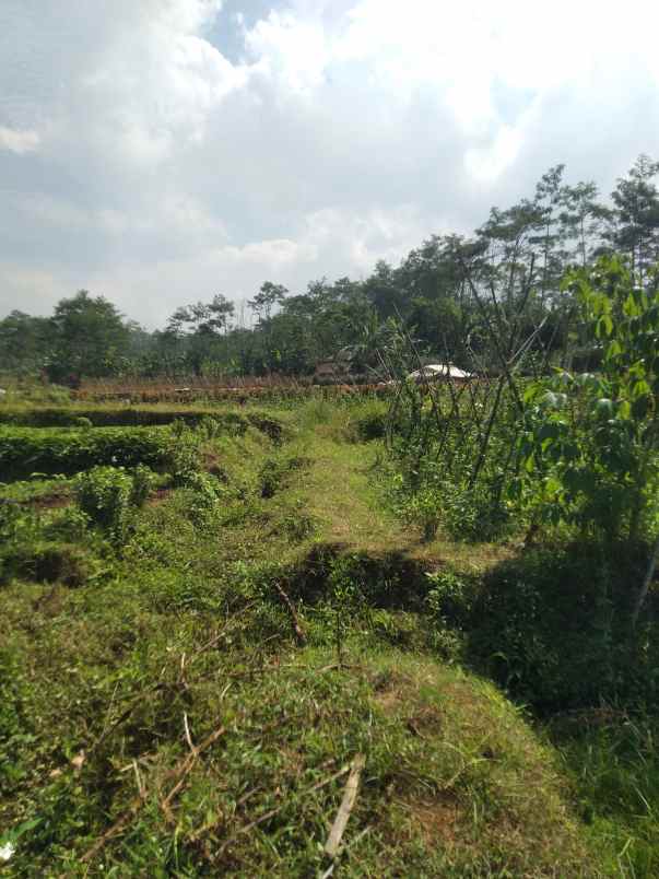 tanah dekat jl bandungan ambarawa 3000m