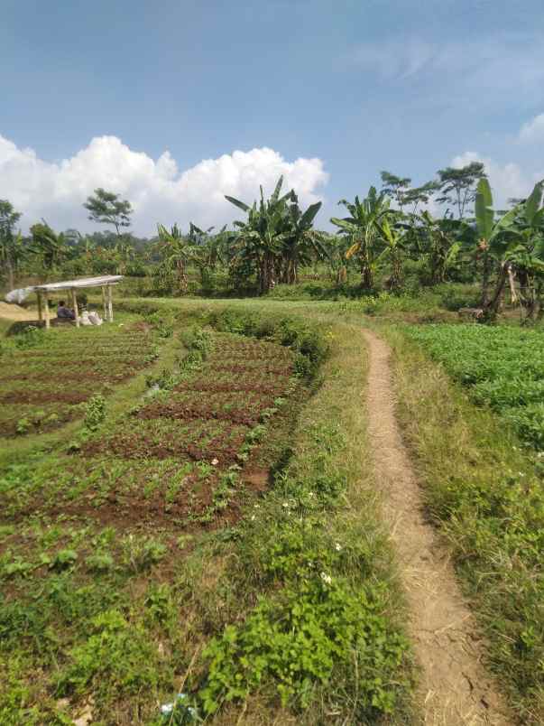 tanah dekat jl bandungan ambarawa 3000m