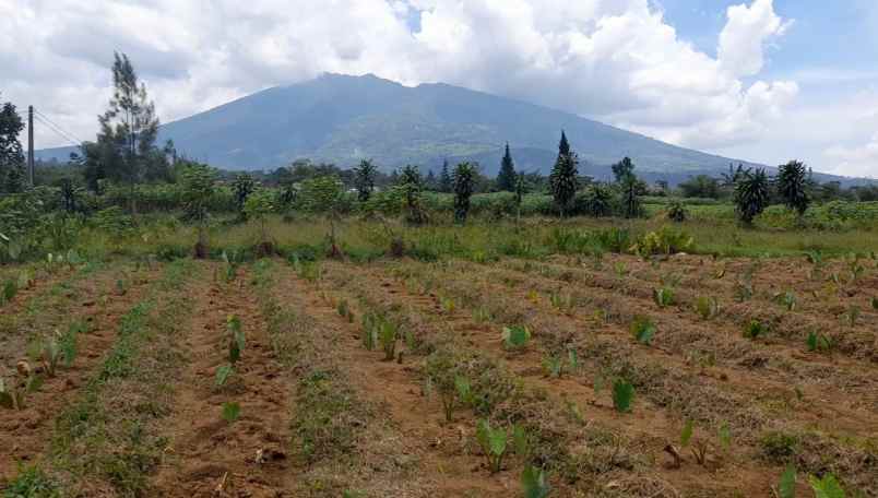 tanah desa ciadeq cijeruk