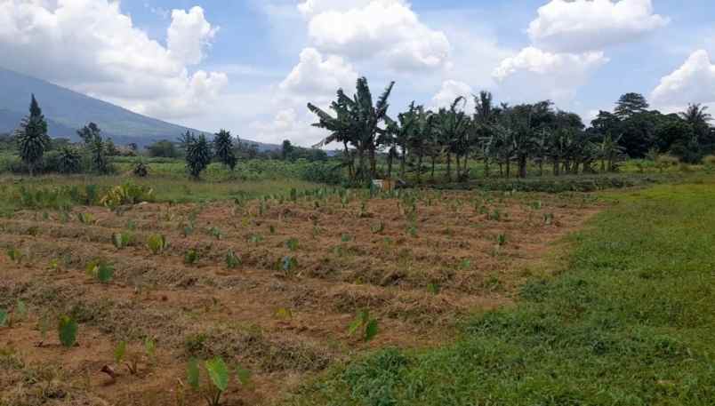 tanah desa ciadeq cijeruk