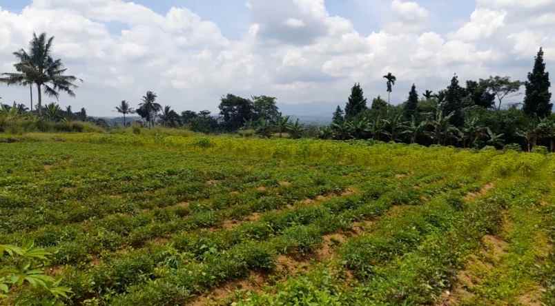 tanah desa ciadeq cijeruk